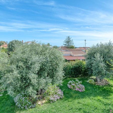 La Casa Degli Ulivi Appartamento In Villa Con Patio Куарту-Сант'Елена Екстер'єр фото